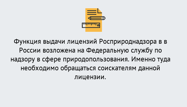 Почему нужно обратиться к нам? Мегион Лицензия Росприроднадзора. Под ключ! в Мегион