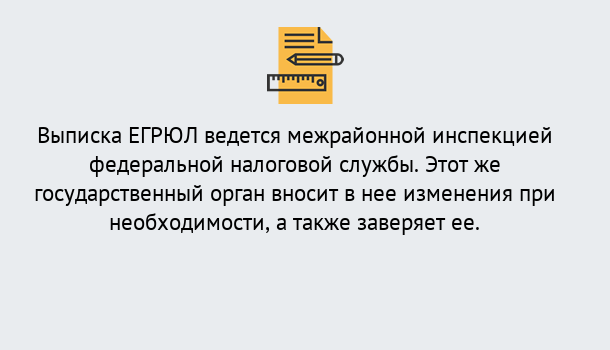 Почему нужно обратиться к нам? Мегион Выписка ЕГРЮЛ в Мегион ?