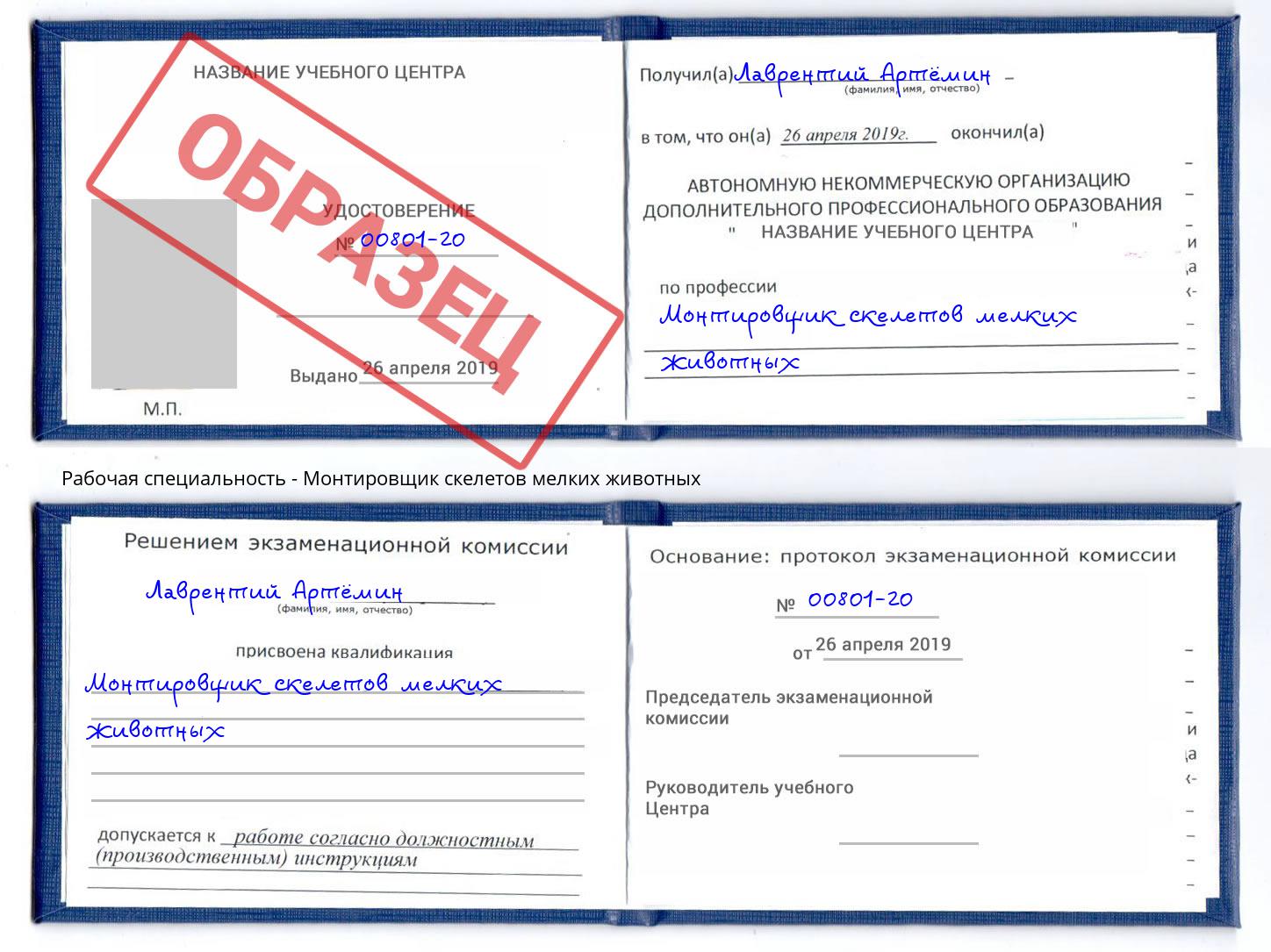 Монтировщик скелетов мелких животных Мегион