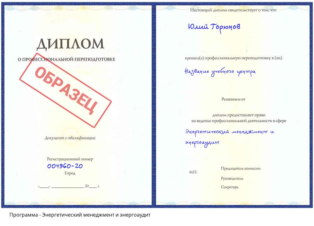 Энергетический менеджмент и энергоаудит Мегион