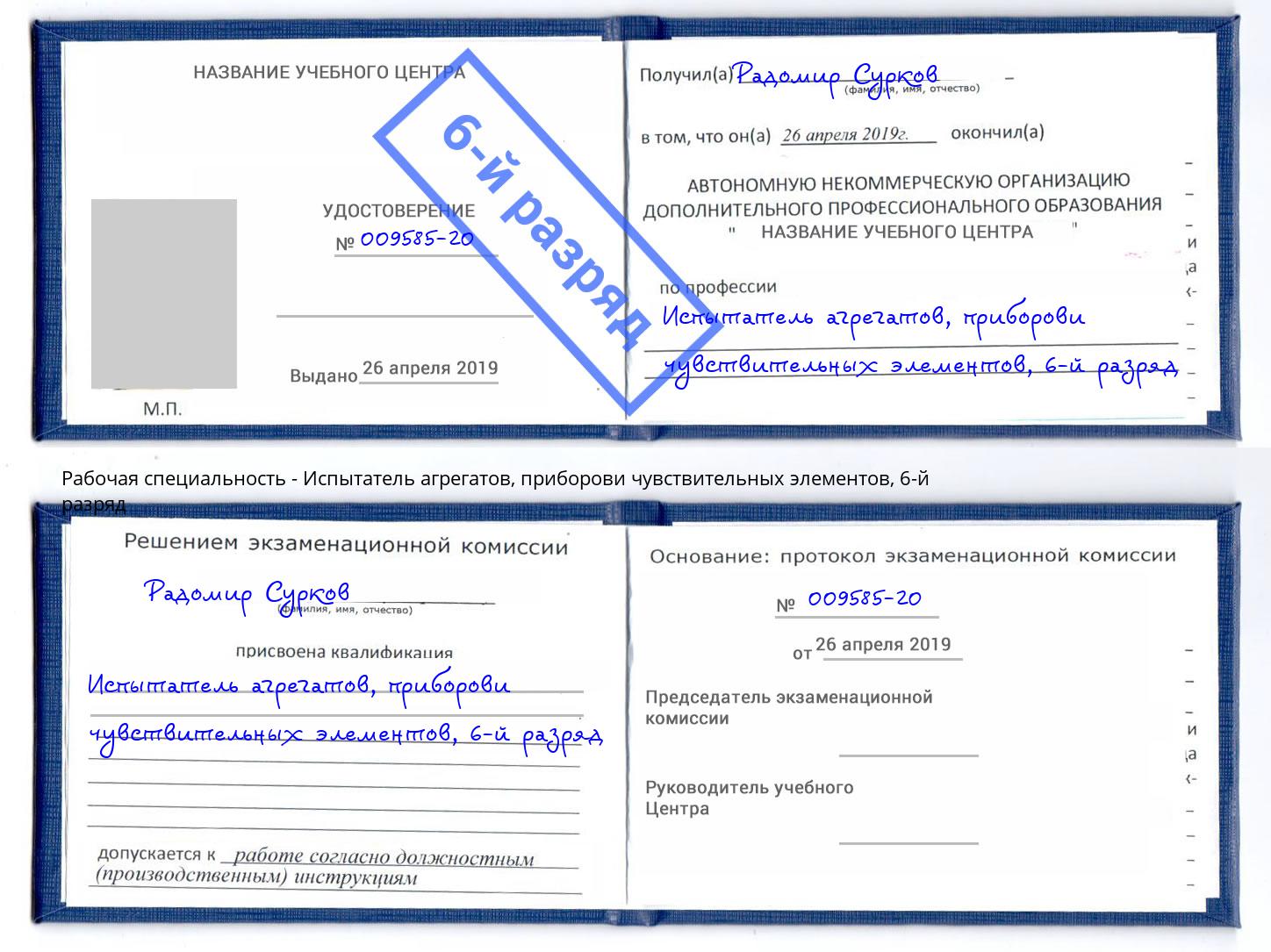 корочка 6-й разряд Испытатель агрегатов, приборови чувствительных элементов Мегион