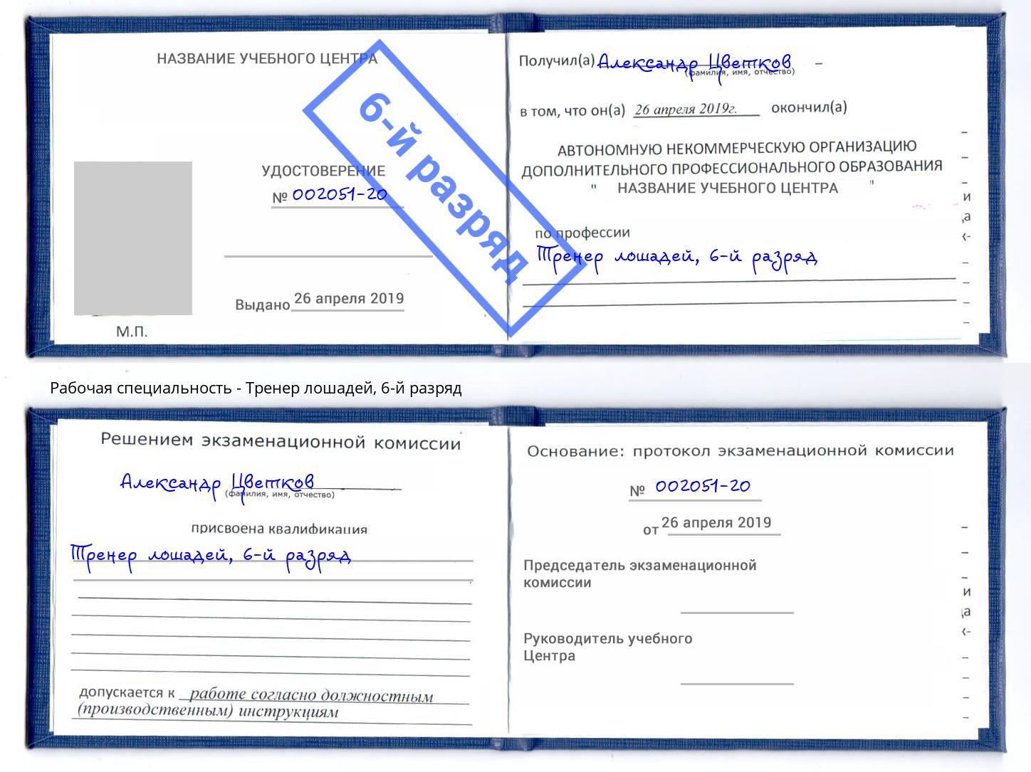 корочка 6-й разряд Тренер лошадей Мегион