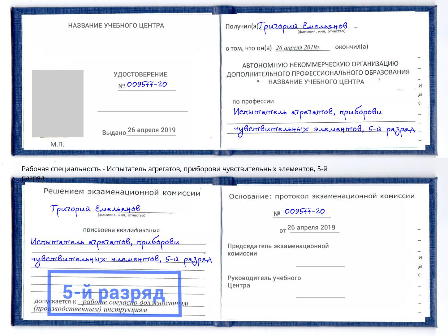 корочка 5-й разряд Испытатель агрегатов, приборови чувствительных элементов Мегион