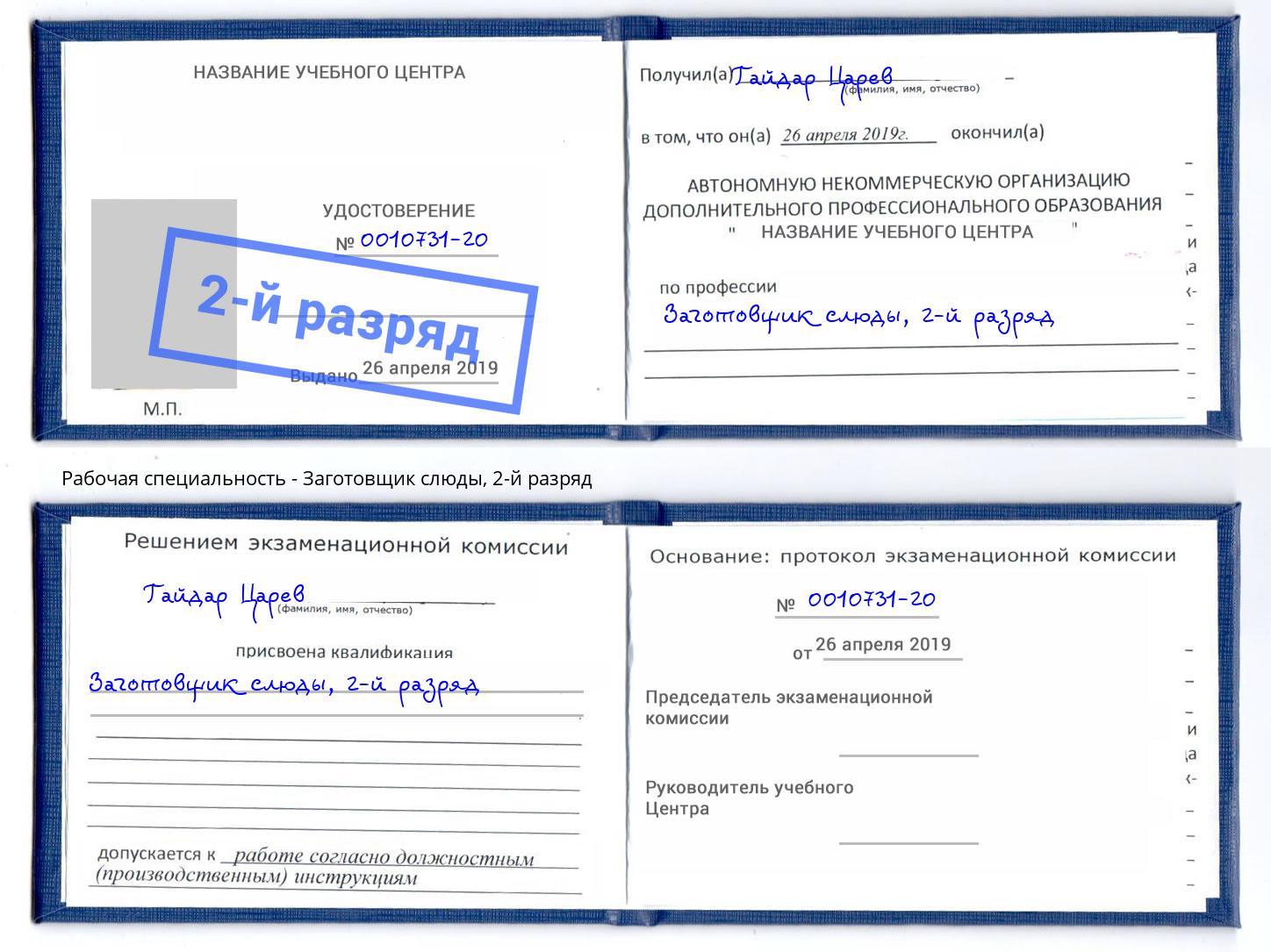 корочка 2-й разряд Заготовщик слюды Мегион