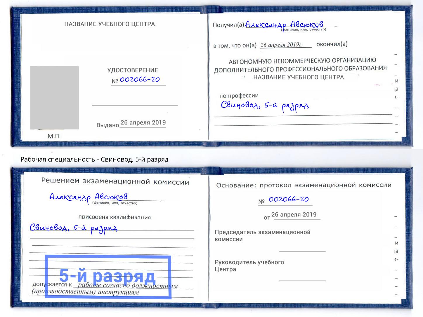 корочка 5-й разряд Свиновод Мегион