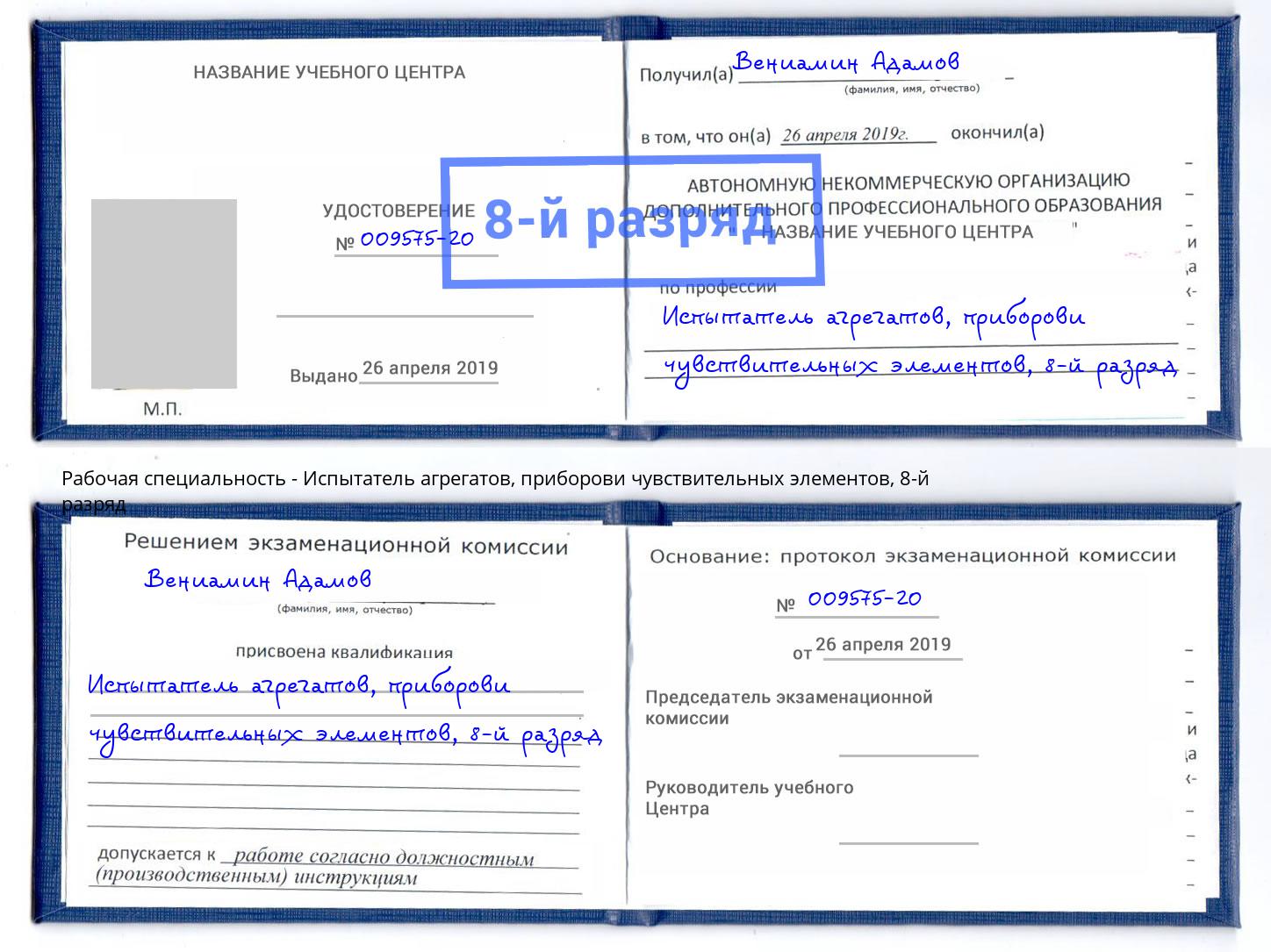 корочка 8-й разряд Испытатель агрегатов, приборови чувствительных элементов Мегион